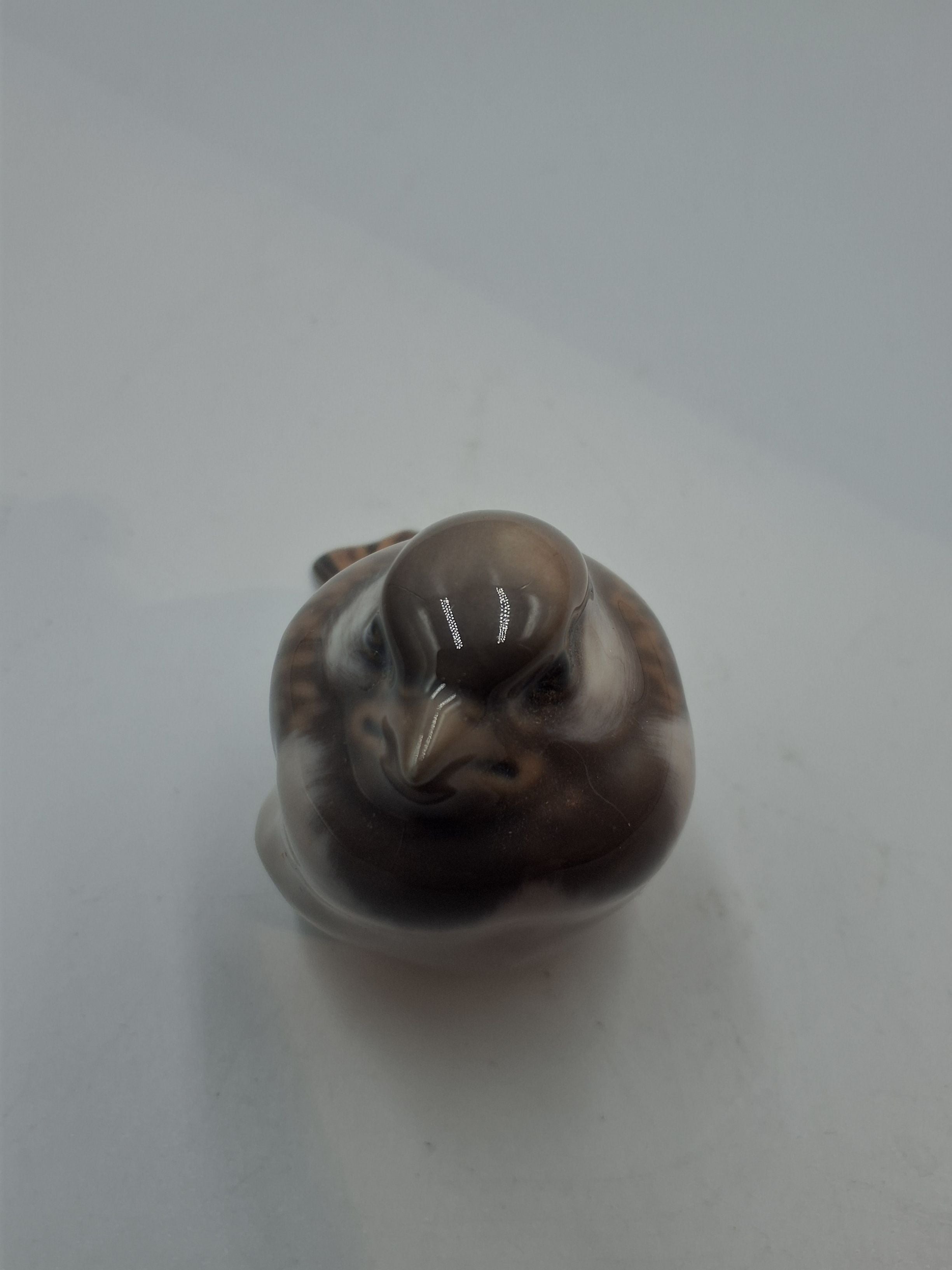 Spurv med halen nedad 1.sortering