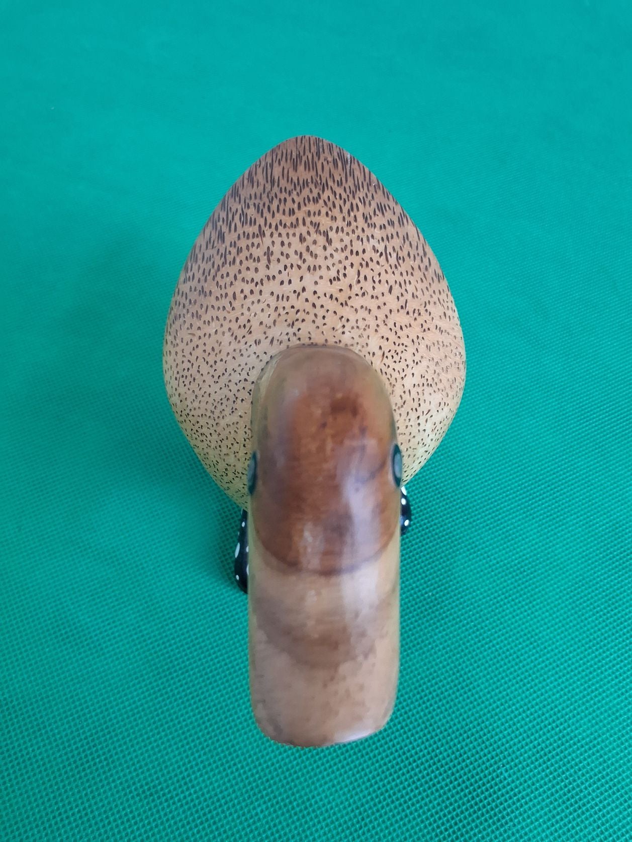 Dcuk Edo Jasper træand