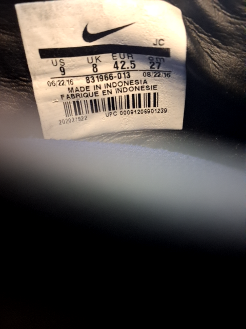 Nike Sport Sko (H660)