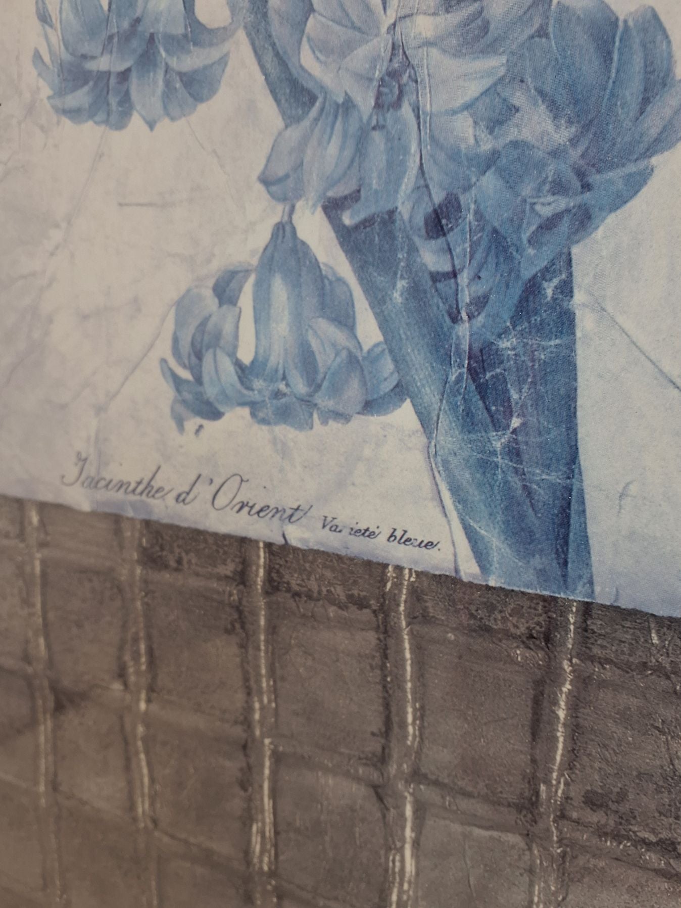 Plakat Jacinthe d'Orient