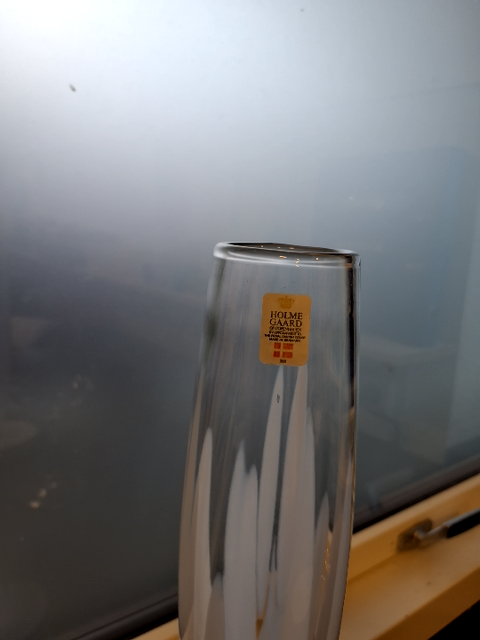 Vase vintergæk