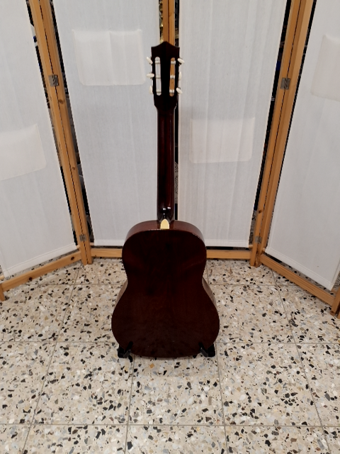 Musima Guitar