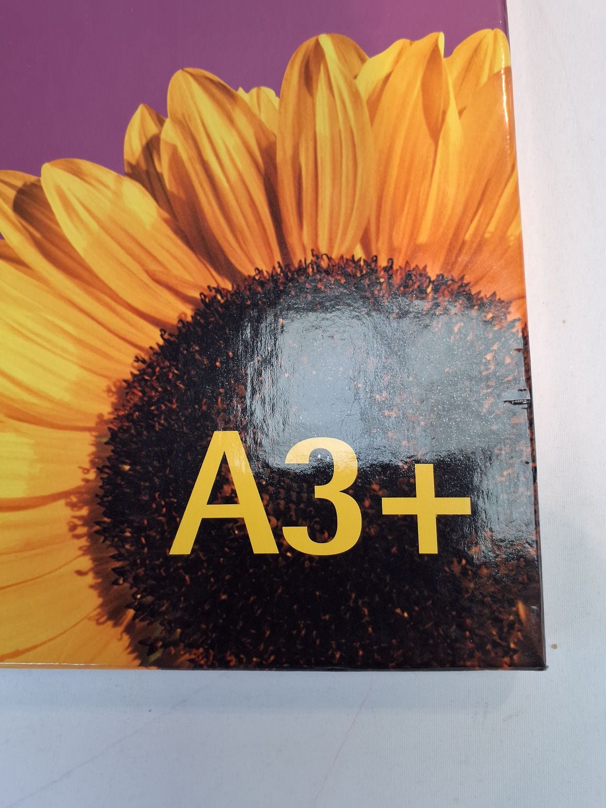 Oyster A3+Papir