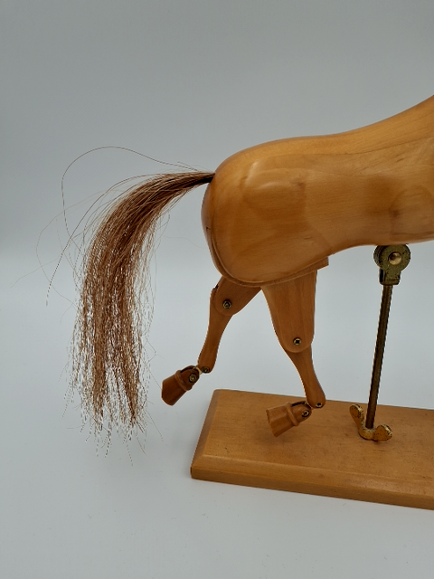 Model hest