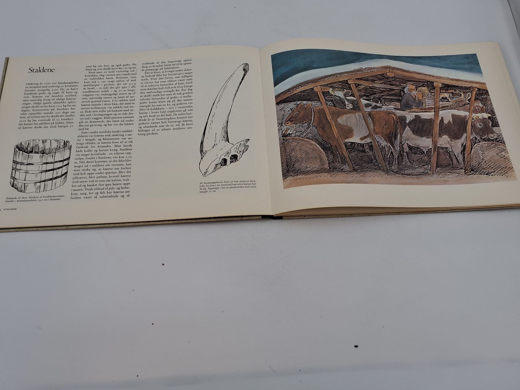 Rosing, Jens: "Ting og undere i Grønland. Vi vil nu tale om de ting og undere som er i Grønland eller Grønlandshavet. Kongespejlet ca. 1250", Forlaget Wormianum, 1973.