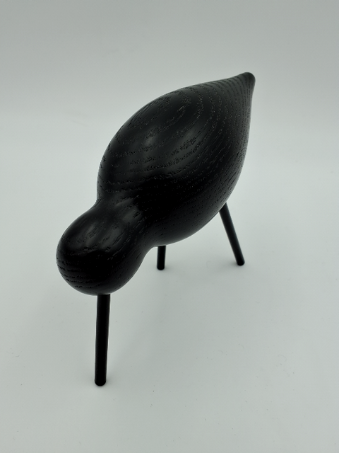 Mellem normann copenhagen shorebird