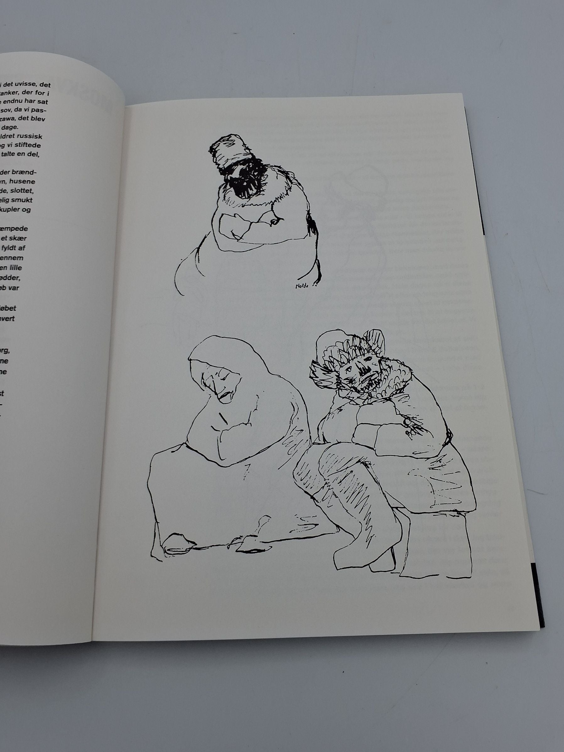 Bog: Emil Nolde i Sydhavet