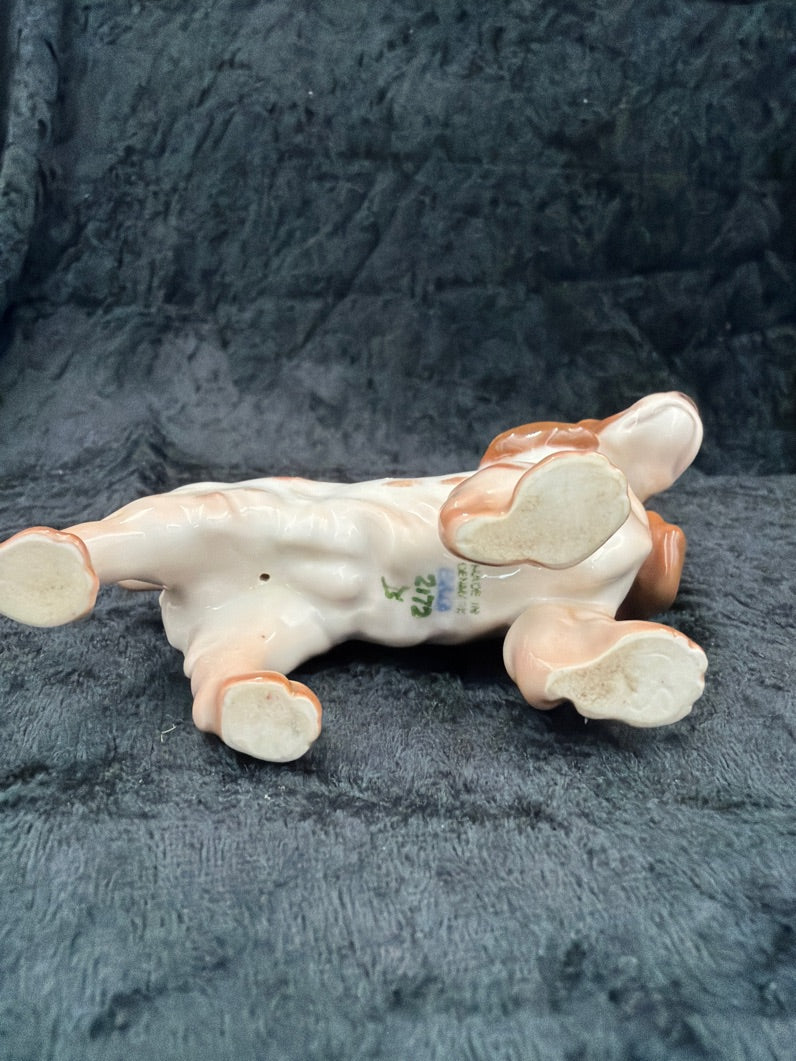 Cockerspaniel B&G