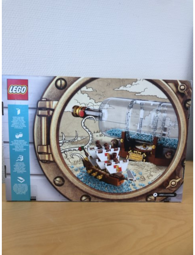 LEGO IDEAS' nr. 21313
