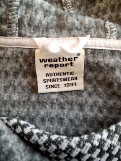 Weather Report Poncho