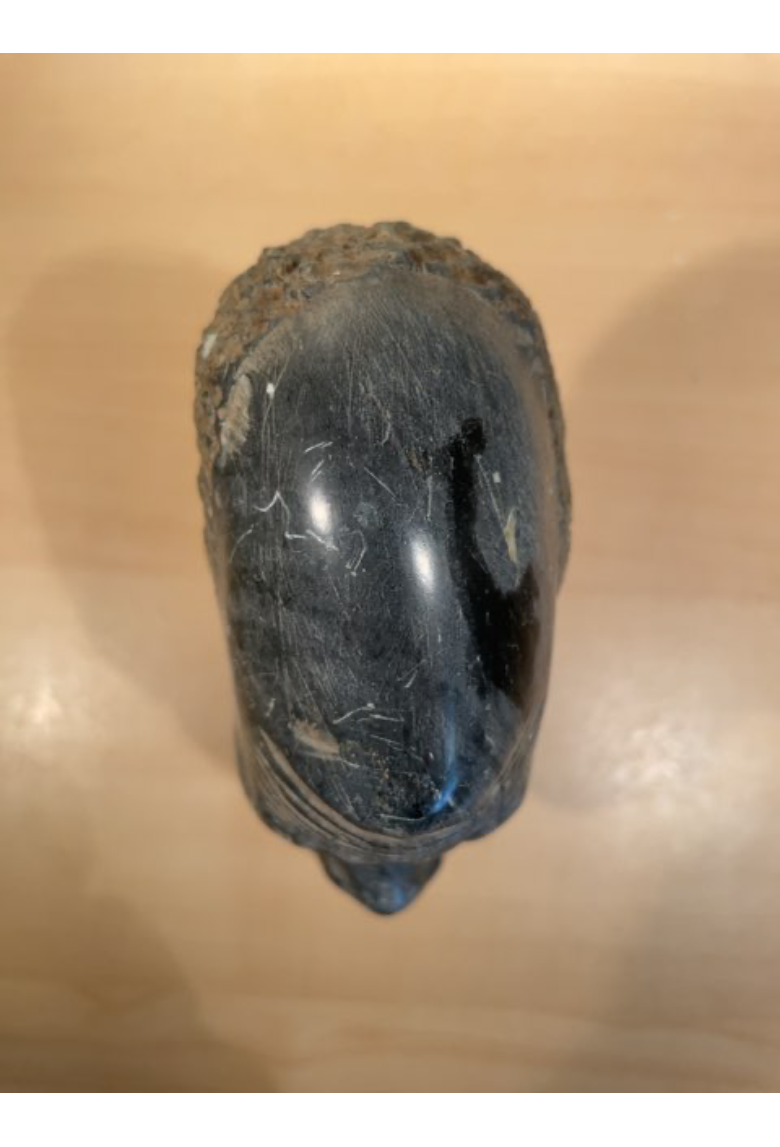 Afrikansk stenhoved
