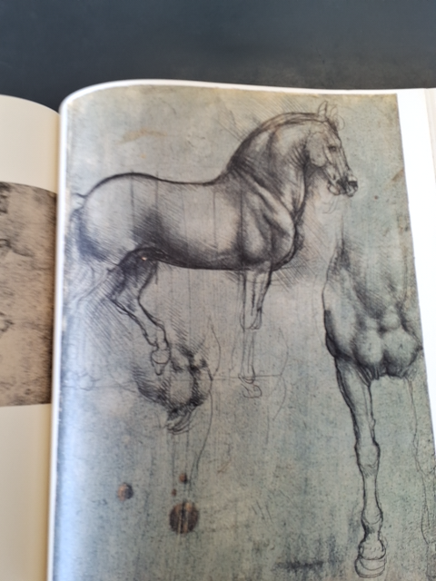 Leonardo da Vinci optegnelser