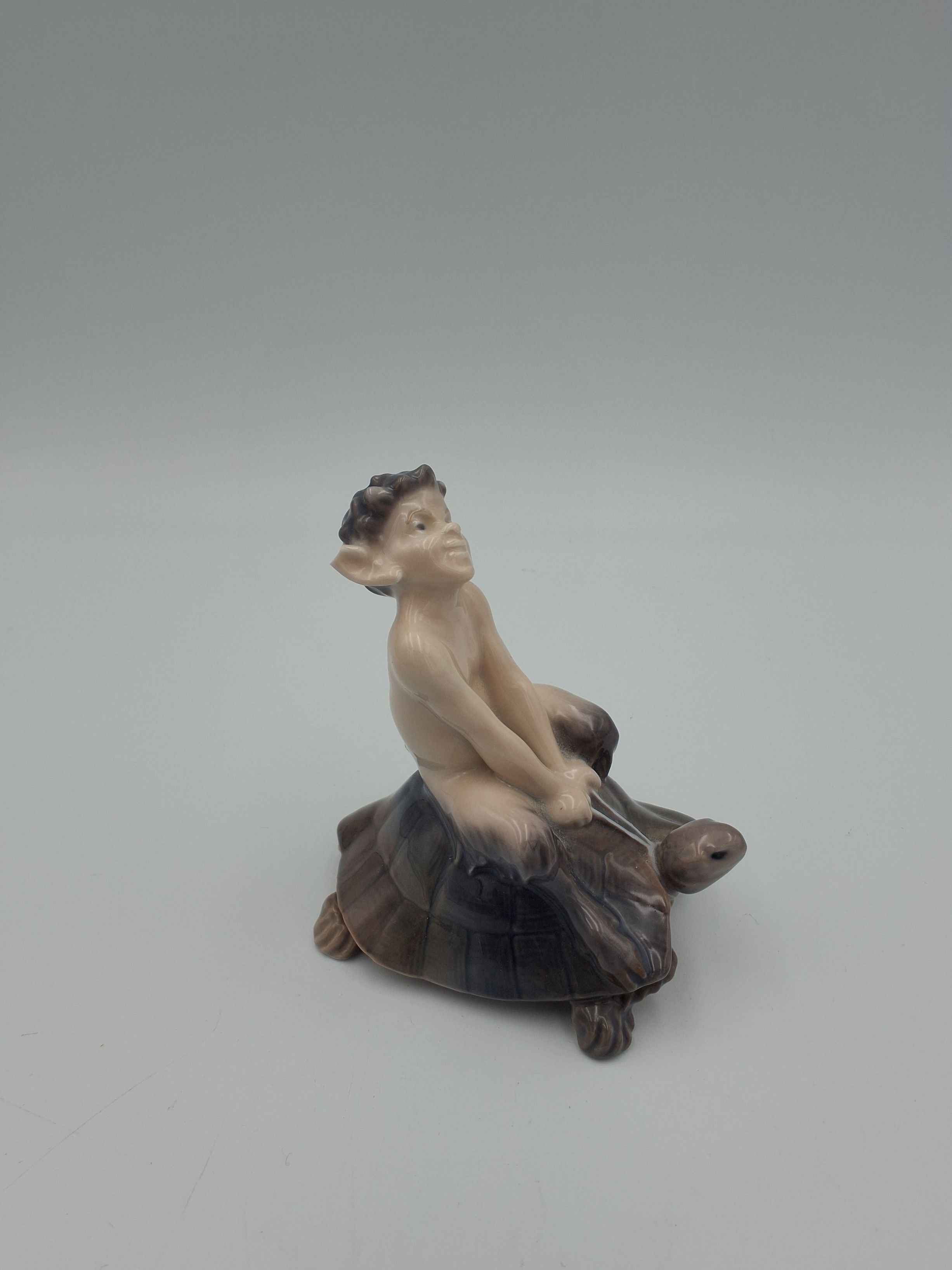 Faun på skildpadde