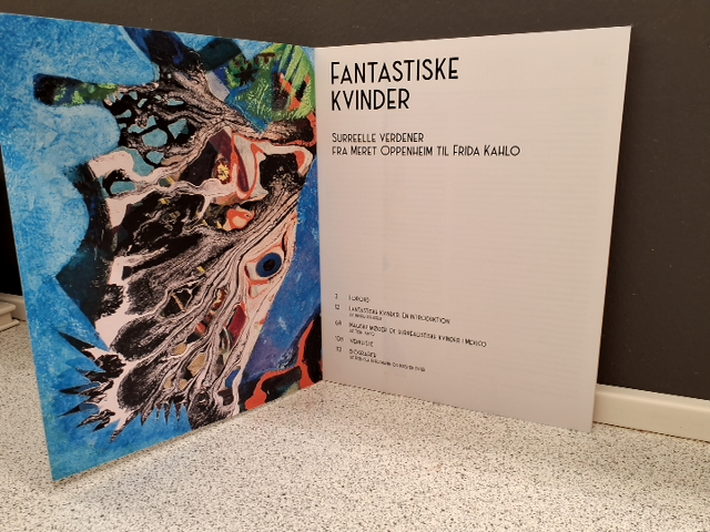 Kunstbog: Fantastiske Kvinder