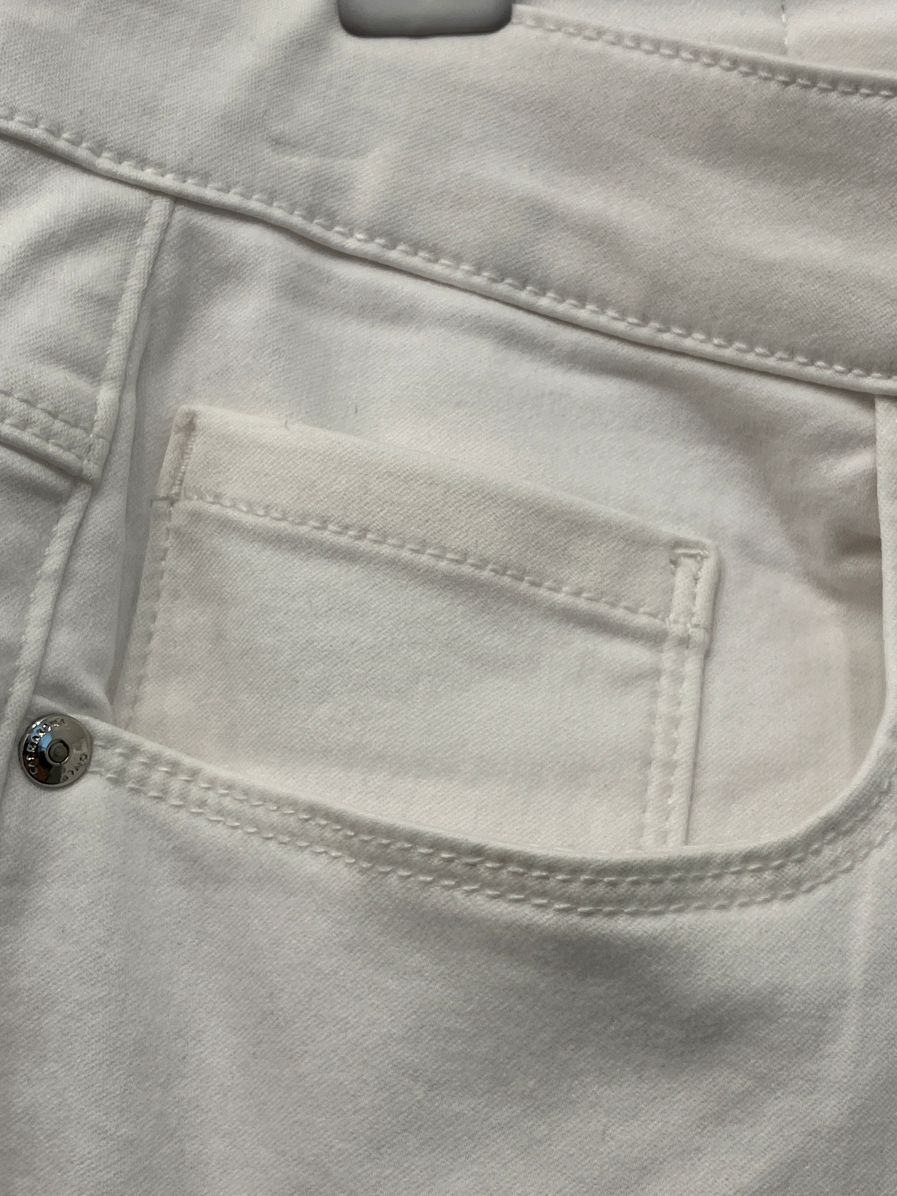 Only Carmakoma Knickers