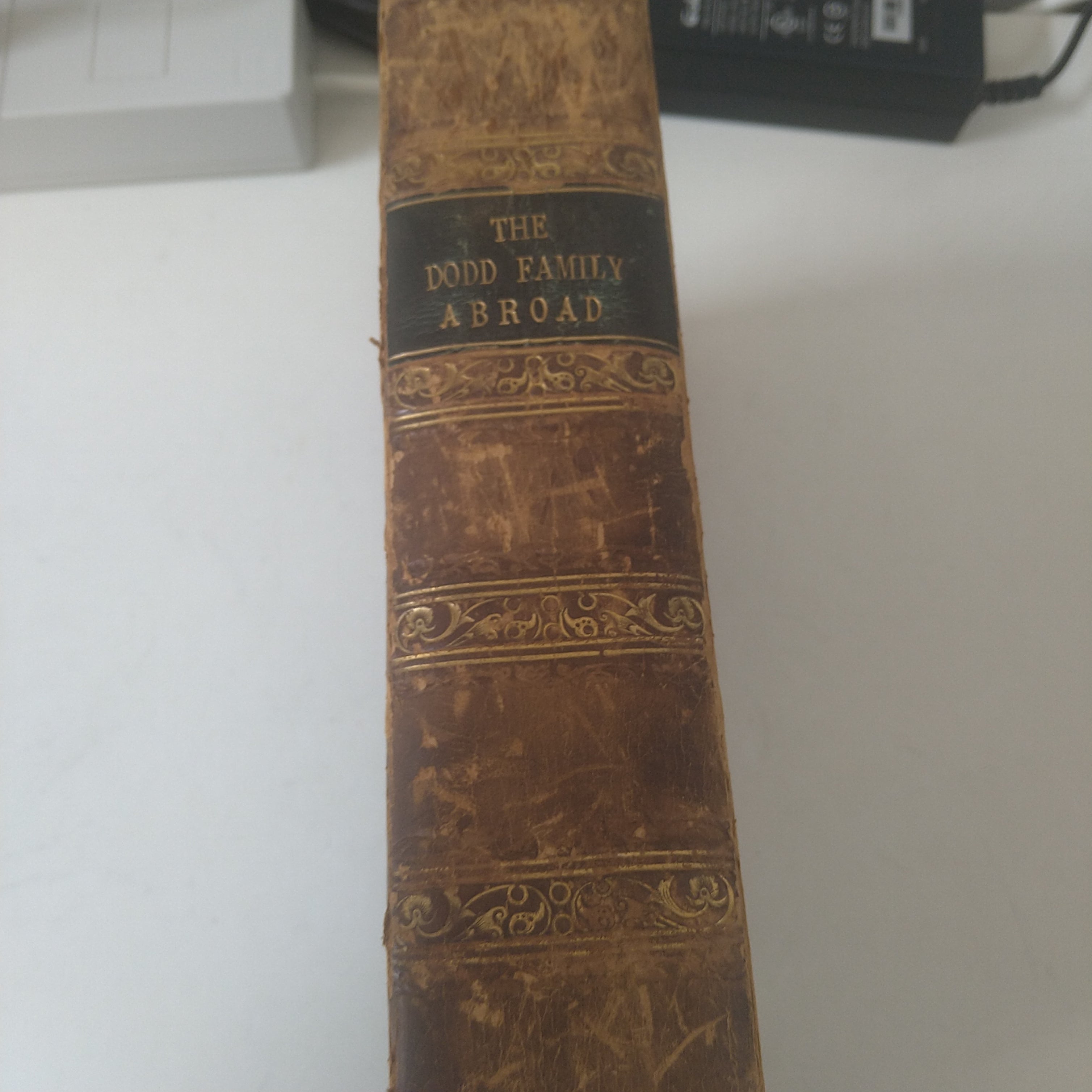 Charles Lever: The Dodd Family